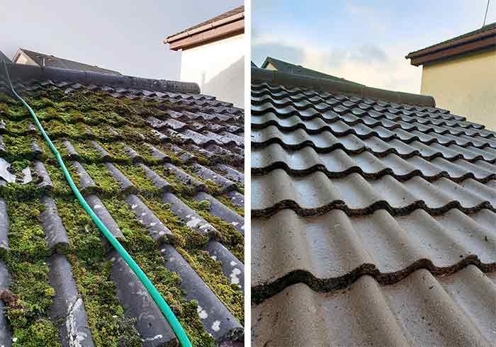 Before and After Roof Cleaning