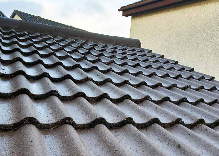 Roof Tiles Cleaned